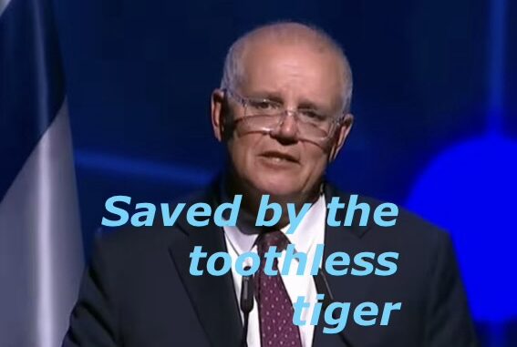 Man speaking with "Saved by the toothless tiger. Man speaking with "Saved by the toothless tiger.