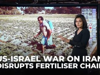 News presenter discusses fertilizer chain disruption.