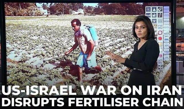 News presenter discusses fertilizer chain disruption. News presenter discusses fertilizer chain disruption.