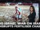 News presenter discusses fertilizer chain disruption.