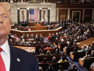 Person in suit, congressional assembly in session.