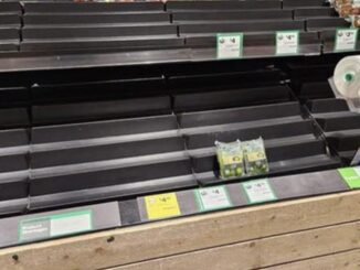Nearly empty supermarket produce shelf with two packages