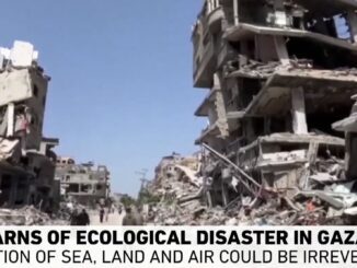 Destroyed buildings and rubble in Gaza