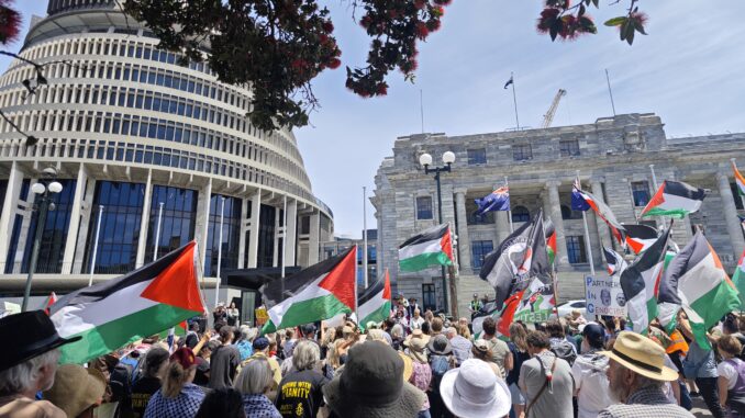 Protest crowd with Palestinian flags at parliament Protest crowd with Palestinian flags at parliament