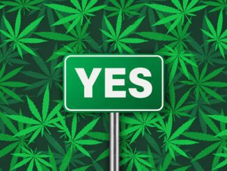 Green YES sign over cannabis leaf background