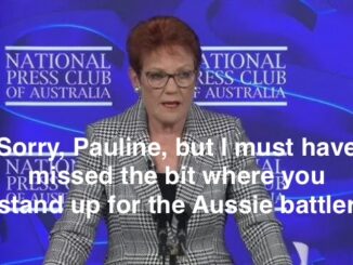 Woman delivering speech at National Press Club