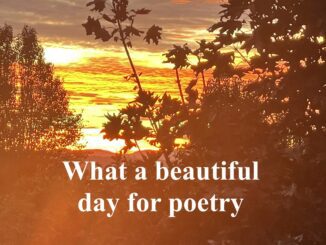 Golden sunset behind silhouetted trees, poetry text