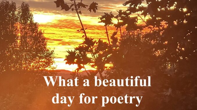 Golden sunset behind silhouetted trees, poetry text