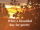 Golden sunset behind silhouetted trees, poetry text