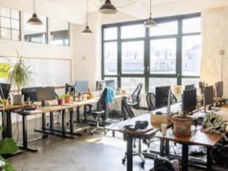 Bright open-plan office with desks and plants