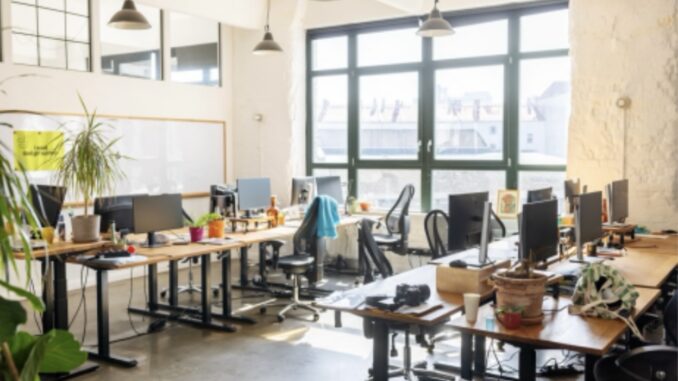 Bright open-plan office with desks and plants