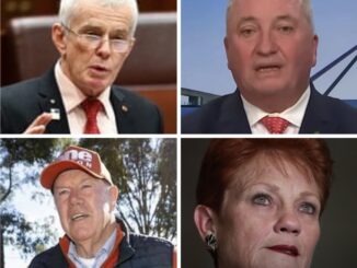 Collage of four older adult portraits