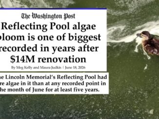 Washington Post headline about Reflecting Pool algae
