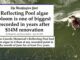 Washington Post headline about Reflecting Pool algae