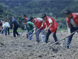 Group of volunteers tilling soil in rural field