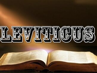 Open Bible titled Leviticus illuminated by light